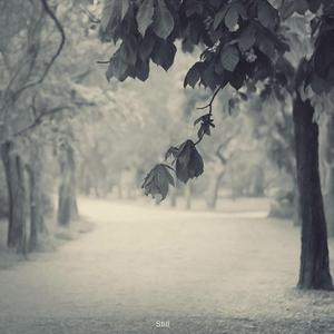 冢本监督之昭和年代
